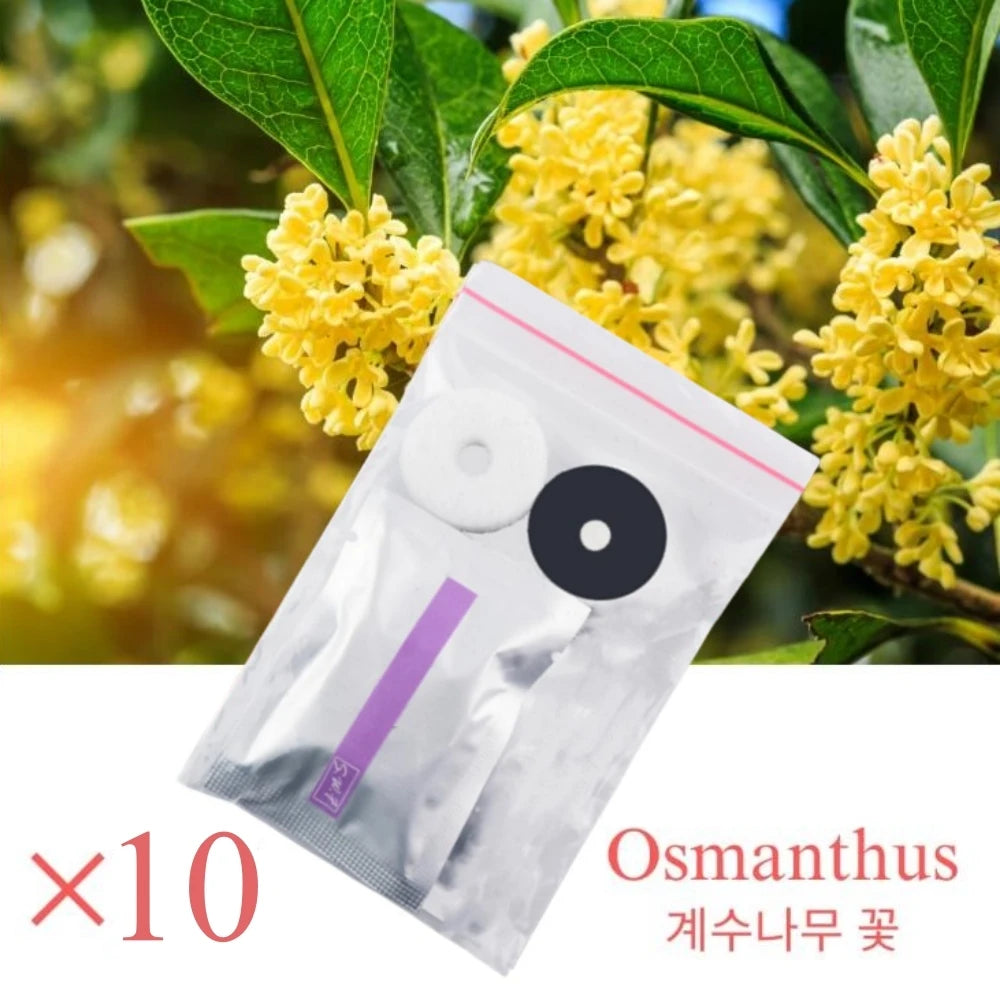 Bulldog Car Vent Ornament – Interior Dog Decoration